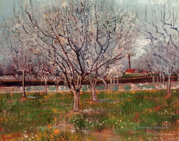  orchard - Verger dans la floraison des pruniers Vincent van Gogh